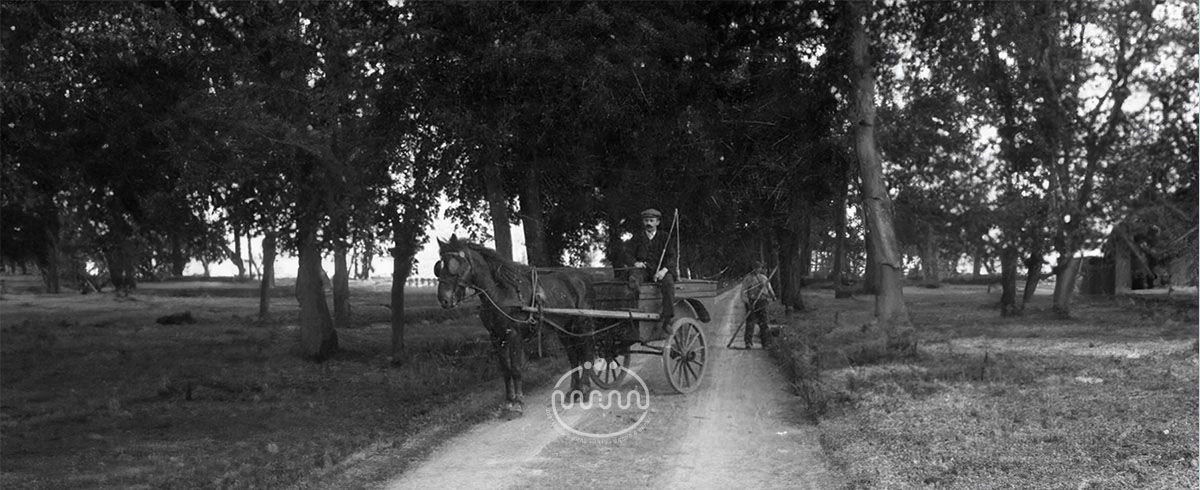 Westerbos & Mens | Brood & Banket > 100 jaar jong